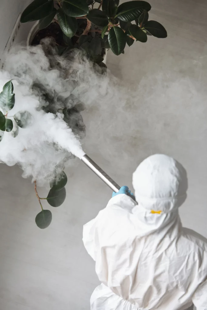 commercial pest control services branford ct